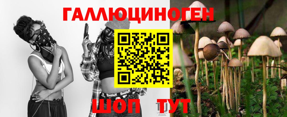 Псилоцибиновые грибы Cubensis  Вход с VPN  Туймазы  Псилоцибиновые грибы Cubensis 